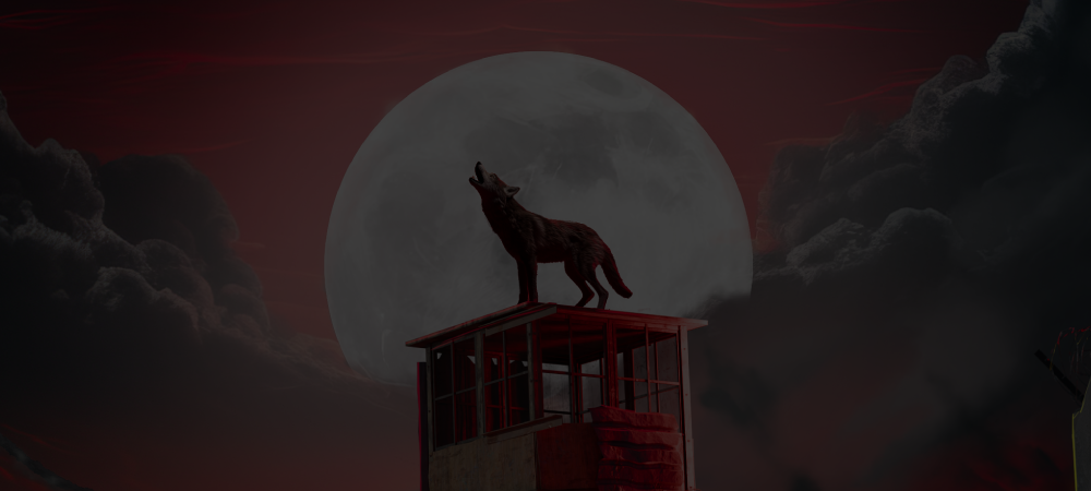 Welcome to the new Lone Wolf Rust blog!